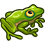 Soutěž v hledání žab (ikona)