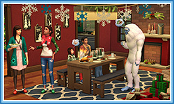 TS4HCP12