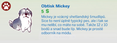 Obrazy a plakáty