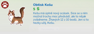 Obrazy a plakáty