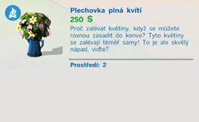 Pokojové rostliny