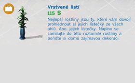 Pokojové rostliny