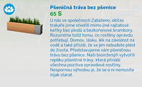 Pokojové rostliny