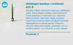 Pokojové rostliny