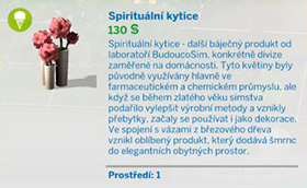 Pokojové rostliny