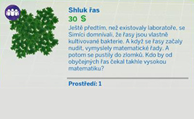 Pokojové rostliny