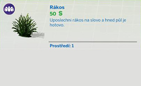 Pokojové rostliny