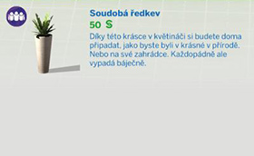 Pokojové rostliny