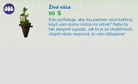 Pokojové rostliny