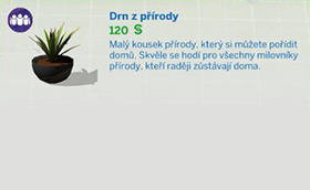 Pokojové rostliny