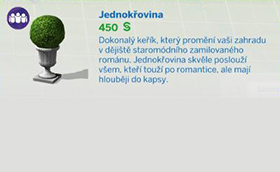 Pokojové rostliny