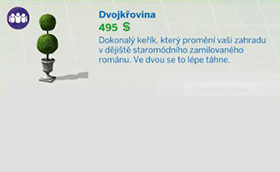 Pokojové rostliny