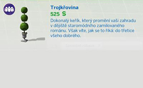 Pokojové rostliny