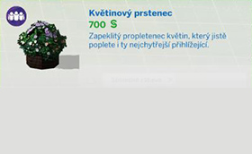 Pokojové rostliny