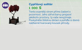 Pokojové rostliny
