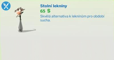 Pokojové rostliny