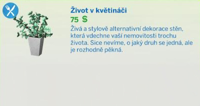 Pokojové rostliny