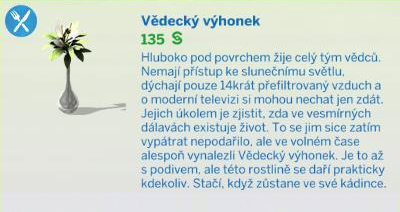 Pokojové rostliny