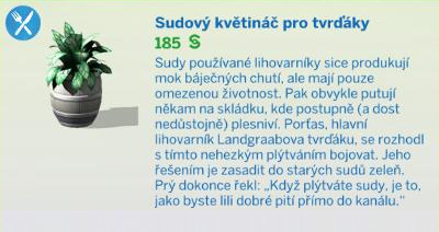 Pokojové rostliny