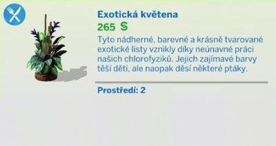 Pokojové rostliny