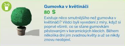 Pokojové rostliny