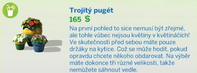 Pokojové rostliny