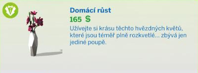Pokojové rostliny