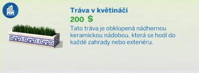 Pokojové rostliny