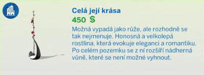 Pokojové rostliny
