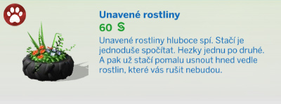 Pokojové rostliny