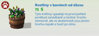 Pokojové rostliny