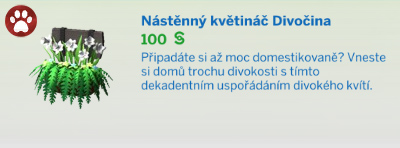 Pokojové rostliny
