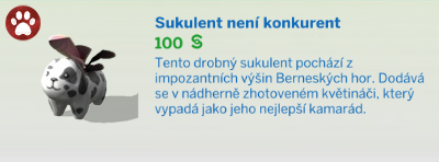 Pokojové rostliny
