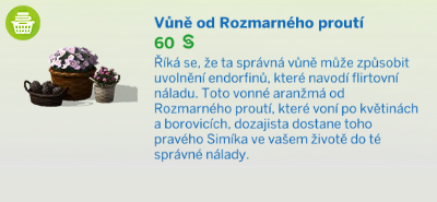 Pokojové rostliny