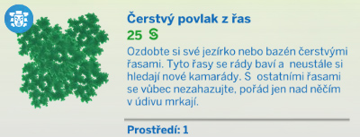 Pokojové rostliny