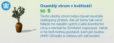 Pokojové rostliny