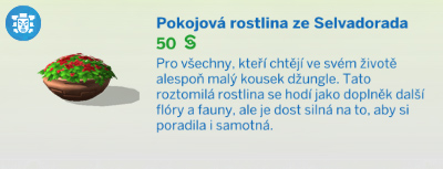 Pokojové rostliny