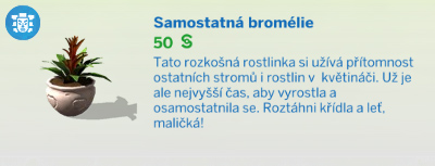 Pokojové rostliny