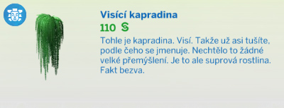 Pokojové rostliny