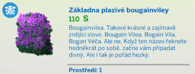 Pokojové rostliny
