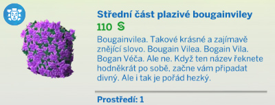 Pokojové rostliny