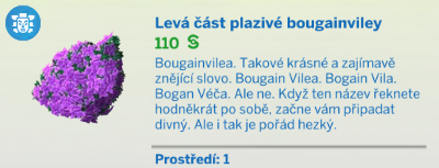 Pokojové rostliny
