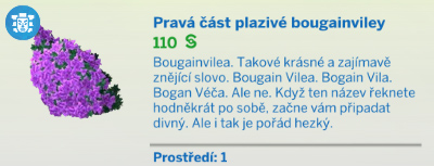 Pokojové rostliny