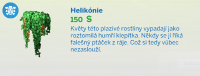 Pokojové rostliny