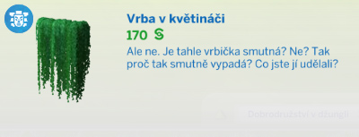 Pokojové rostliny