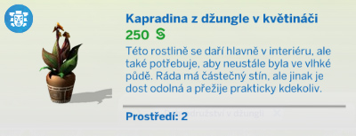 Pokojové rostliny