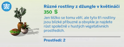 Pokojové rostliny
