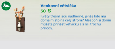 Pokojové rostliny