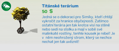Pokojové rostliny