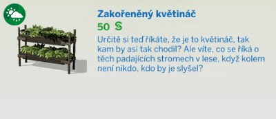 Pokojové rostliny